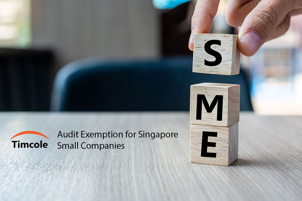 Audit Exemption For Singapore Small Companies Timcole Accounting