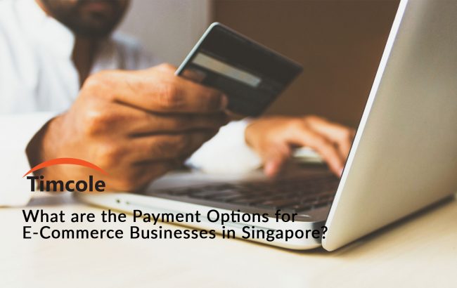 what-are-the-payment-options-for-e-commerce-businesses-in-singapore-timcole
