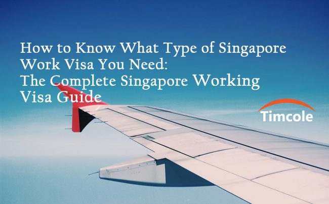 how-to-know-what-type-of-work-visa-you-need-the-complete-singapore-working-visa-guide-timcole