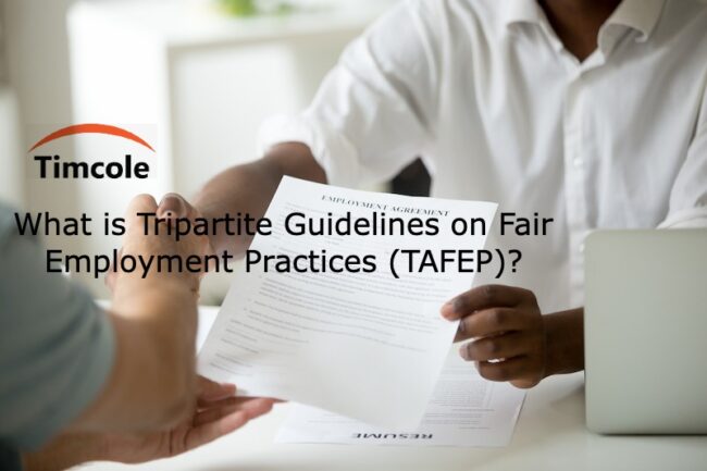 What is Tripartite Guidelines on Fair Employment Practices (TAFEP)_(1) TAFEP