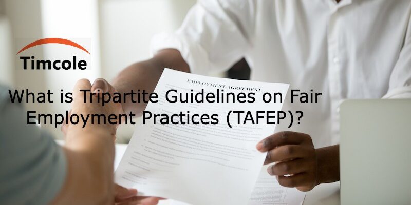 What is Tripartite Guidelines on Fair Employment Practices (TAFEP)_(1) TAFEP