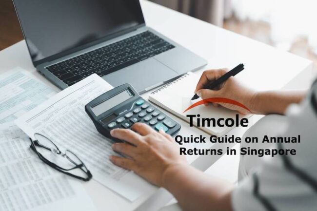 Annual Returns in Singapore Annual Returns