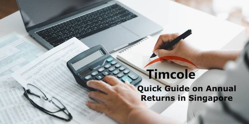 Annual Returns in Singapore Annual Returns