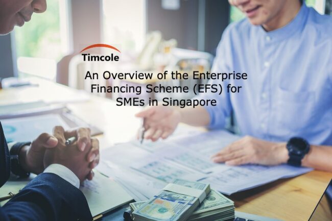An Overview of the Enterprise Financing Scheme (EFS) for SMEs in Singapore Enterprise Financing Scheme