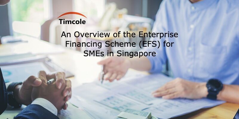 An Overview of the Enterprise Financing Scheme (EFS) for SMEs in Singapore Enterprise Financing Scheme