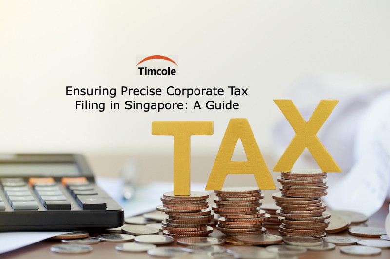 Corporate Tax Filing