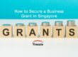 Business Grant
