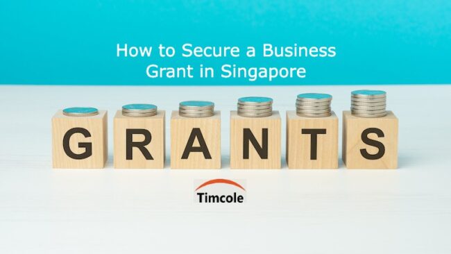 How to Secure a Business Grant in Singapore Business Grant