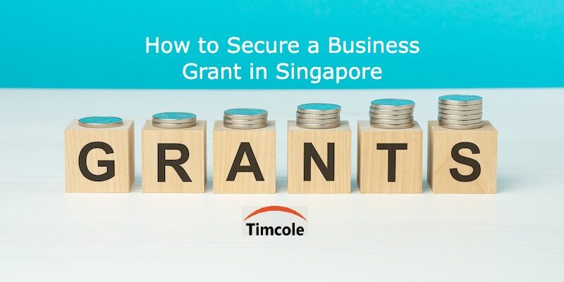 How to Secure a Business Grant in Singapore Business Grant