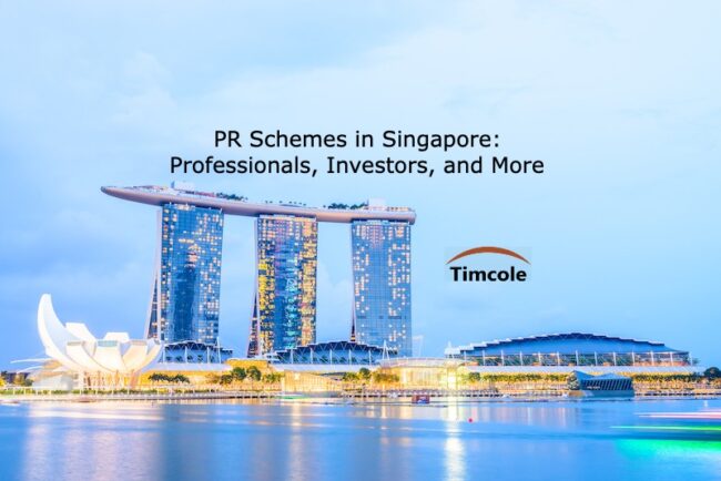 PR Schemes in Singapore_ Professionals, Investors, and More PR Schemes