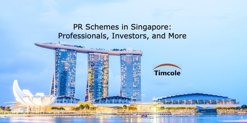 PR Schemes in Singapore_ Professionals, Investors, and More PR Schemes