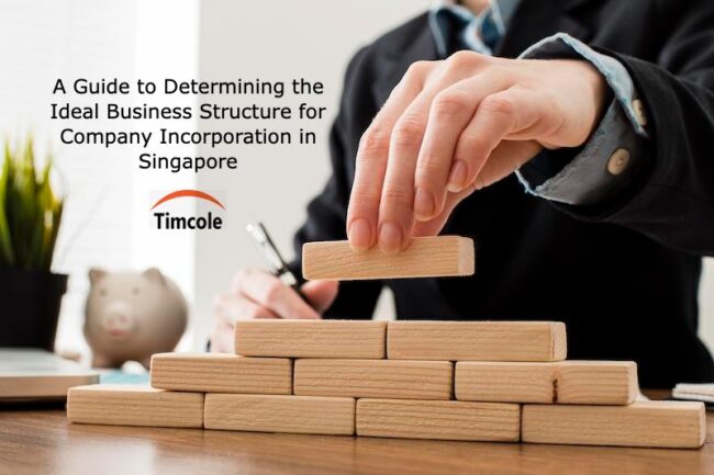 A Guide to Determining the Ideal Business Structure for Company Incorporation in Singapore Business Structure