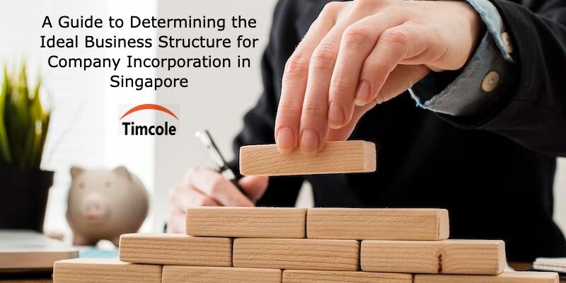 A Guide to Determining the Ideal Business Structure for Company Incorporation in Singapore Business Structure
