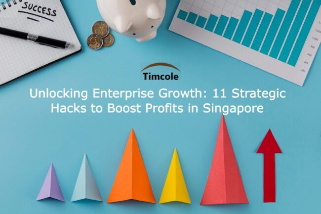 Unlocking Enterprise Growth- 11 Strategic Hacks to Boost Profits in Singapore Profits