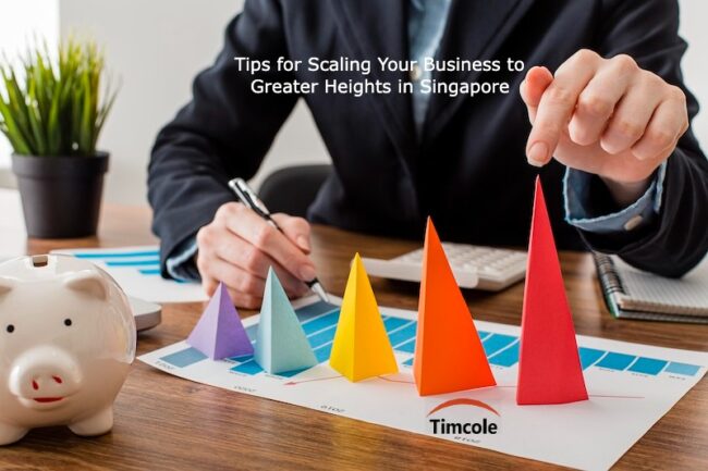 Tips for Scaling Your Business to Greater Heights in Singapore Scaling Your Business