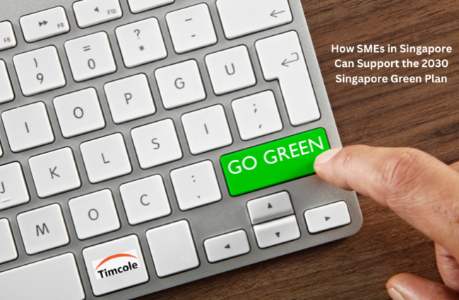 How SMEs in Singapore Can Support the 2030 Singapore Green Plan