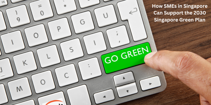 How SMEs in Singapore Can Support the 2030 Singapore Green Plan